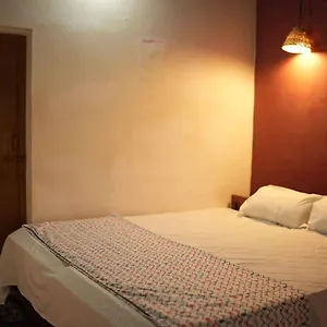 https://zebra-hostels.kerala-hotels.net